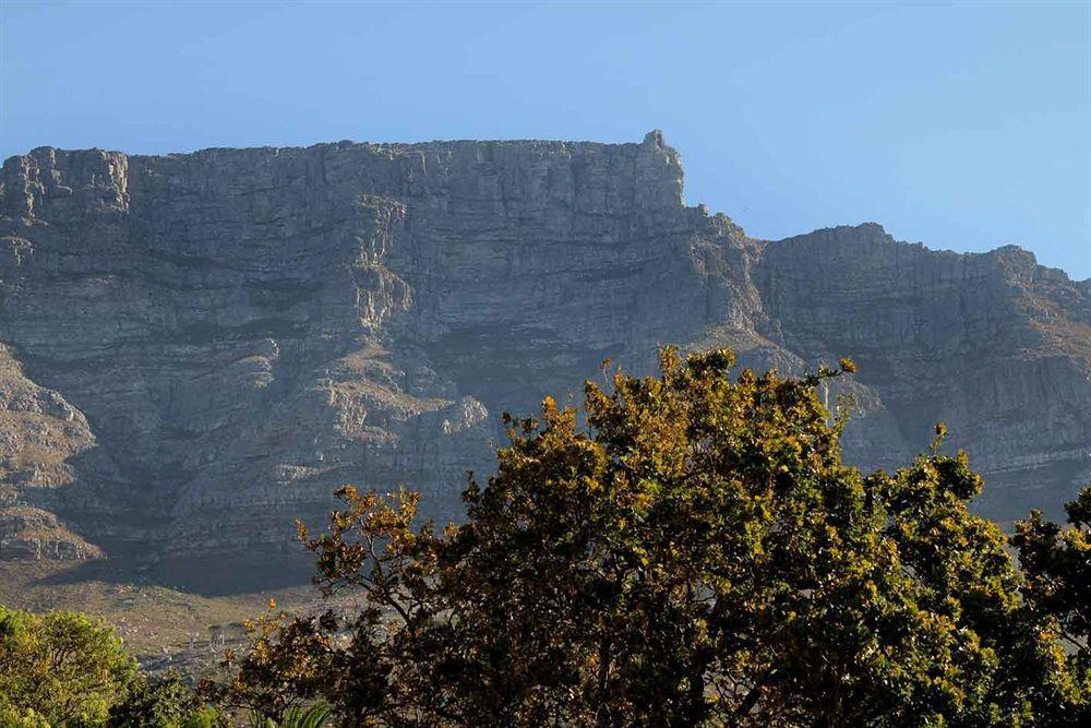 Three Boutique Hotel Cape Town Luaran gambar